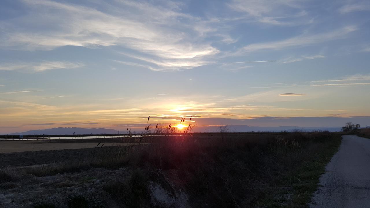 Mas Illa De Riu - Autentica Masia Del Delta Del Ebro Con Capacidad Para 20 Personas - Deltavacaciones Sant Jaume d'Enveja Exterior foto