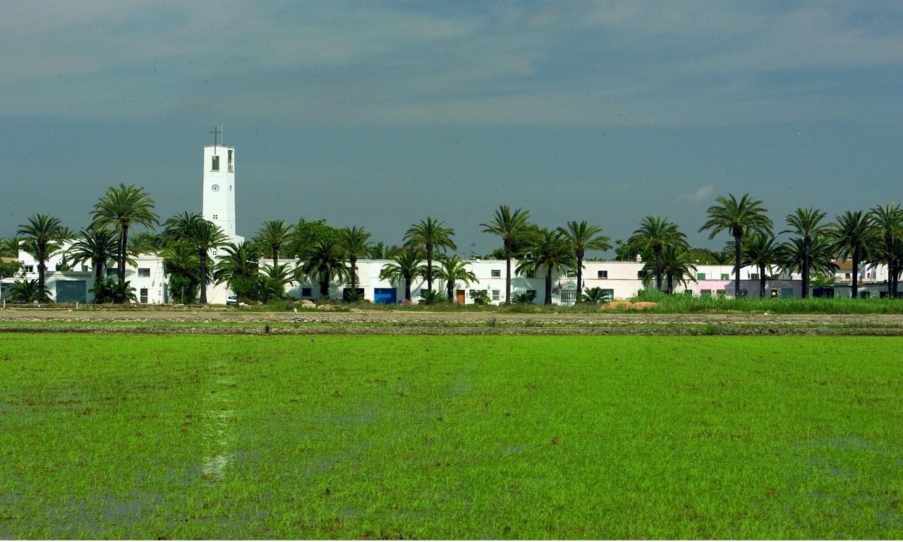 Mas Illa De Riu - Autentica Masia Del Delta Del Ebro Con Capacidad Para 20 Personas - Deltavacaciones Sant Jaume d'Enveja Exterior foto