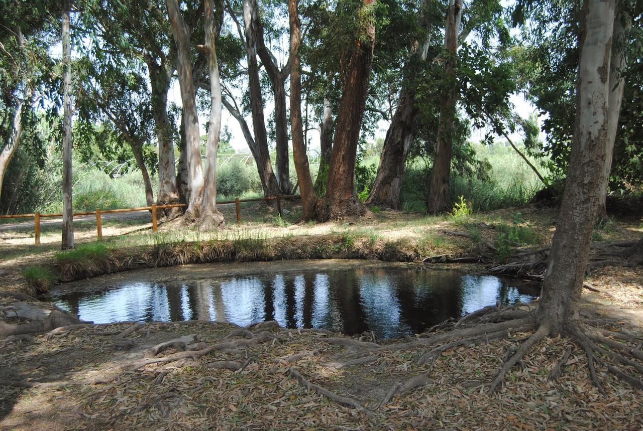 Mas Illa De Riu - Autentica Masia Del Delta Del Ebro Con Capacidad Para 20 Personas - Deltavacaciones Sant Jaume d'Enveja Exterior foto