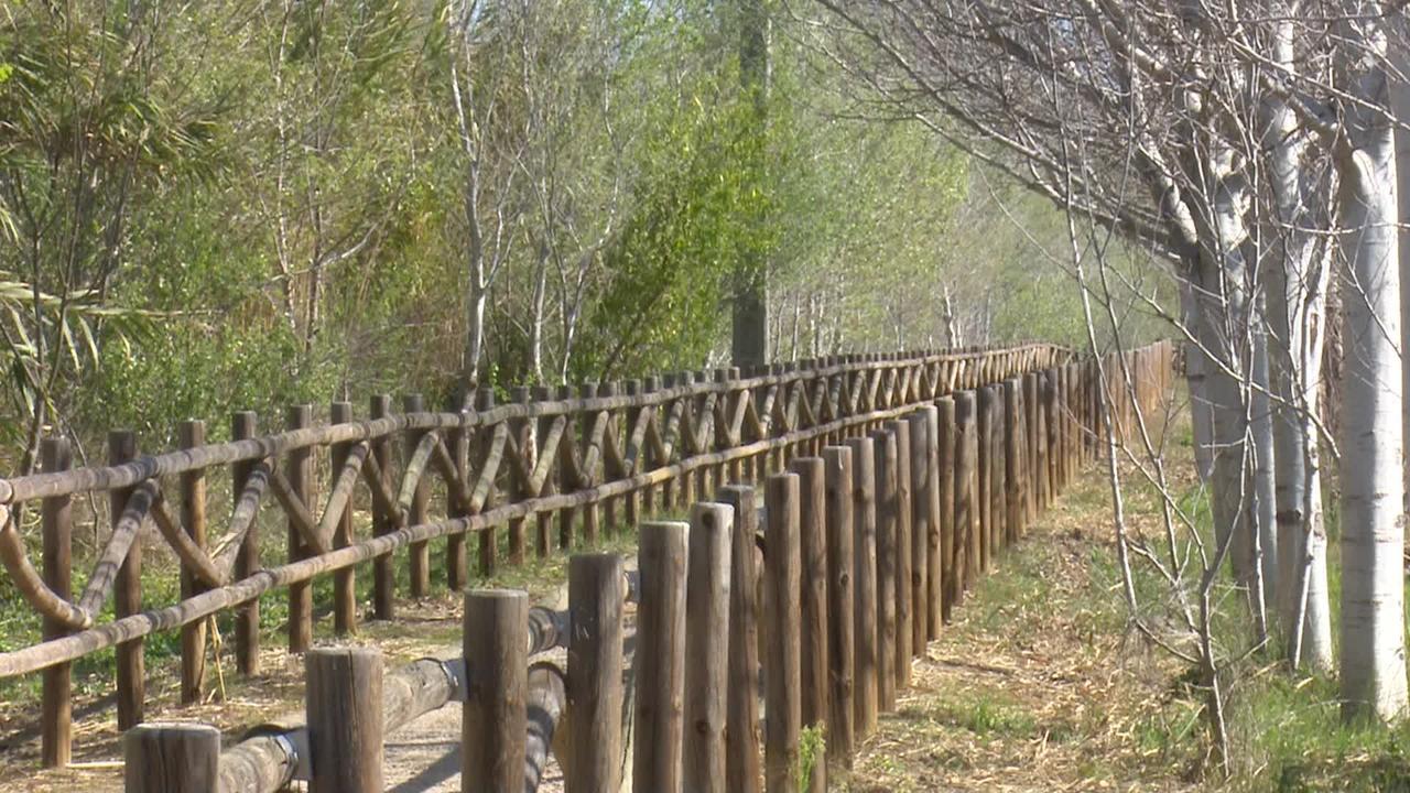 Mas Illa De Riu - Autentica Masia Del Delta Del Ebro Con Capacidad Para 20 Personas - Deltavacaciones Sant Jaume d'Enveja Exterior foto